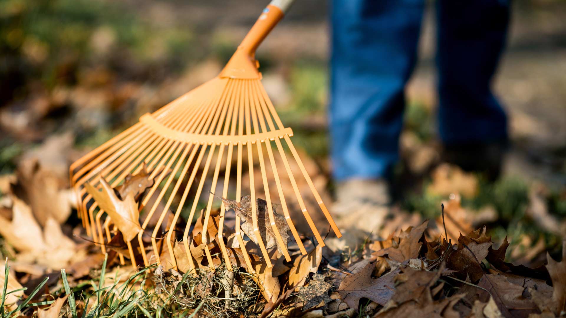 Garten-winterfest-machen-und-Laub-entfernen