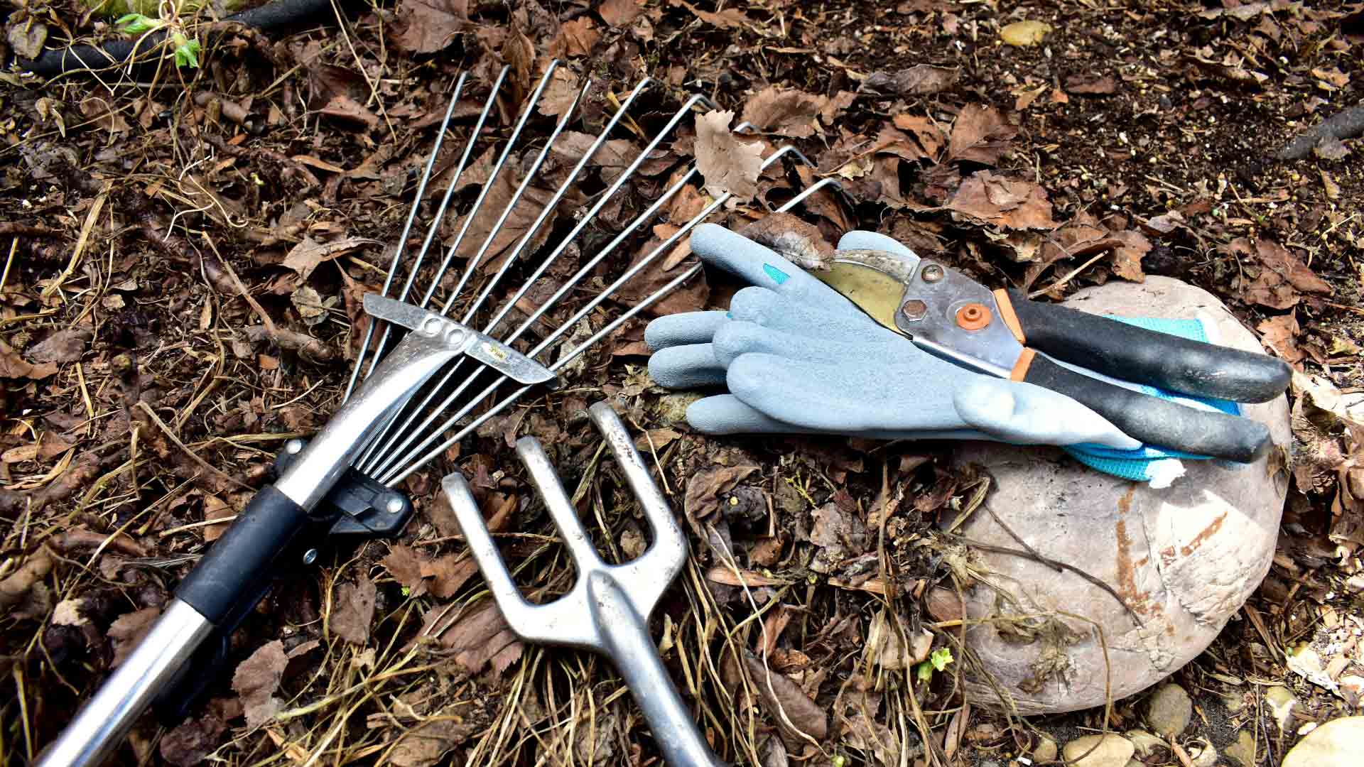 Gartenwerkzeug-vor-dem-Wintereinbruch-reinigen-und-schaerfen