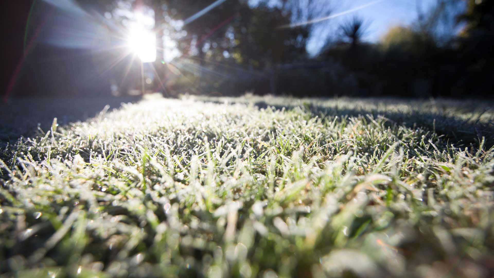 Rasen-ein-letztes-Mal-vor-dem-Winter-maehen