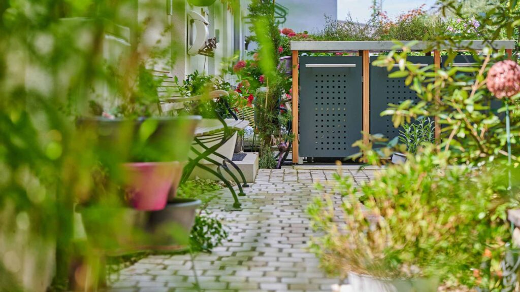 Pflanzen-fuer-den-Vorgarten-Gartenraum-Bender