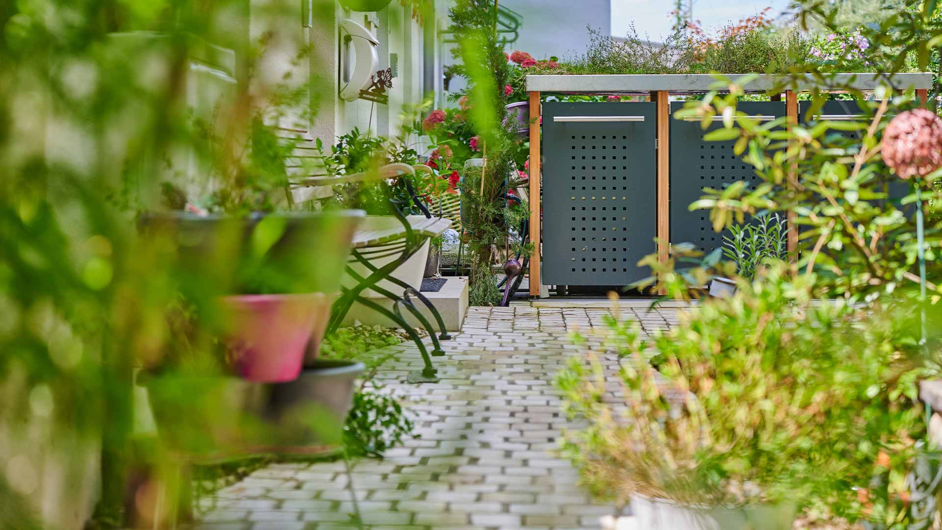 Pflanzen-fuer-den-Vorgarten-Gartenraum-Bender