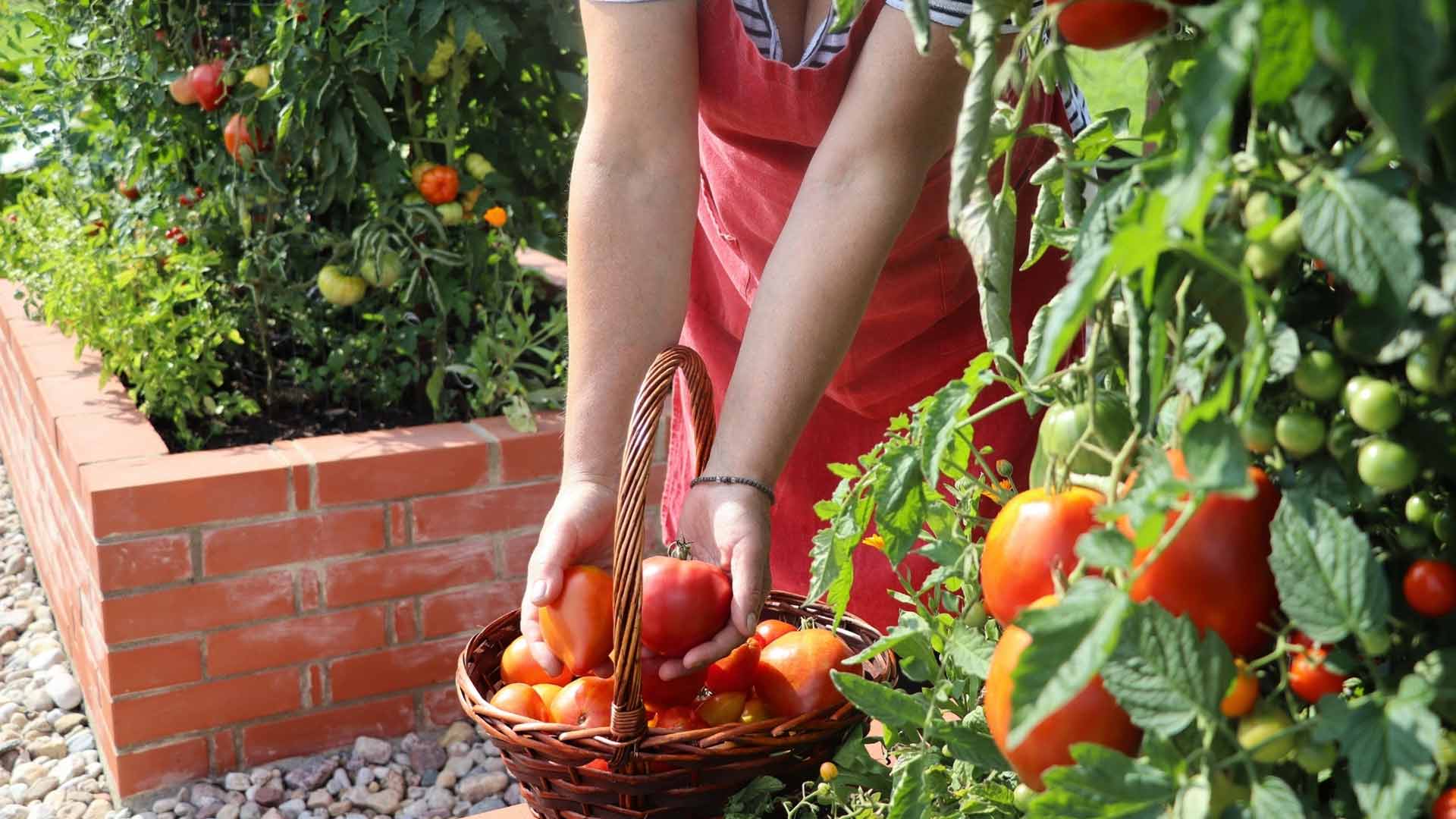 Hochbeet-fuer-den-Garten