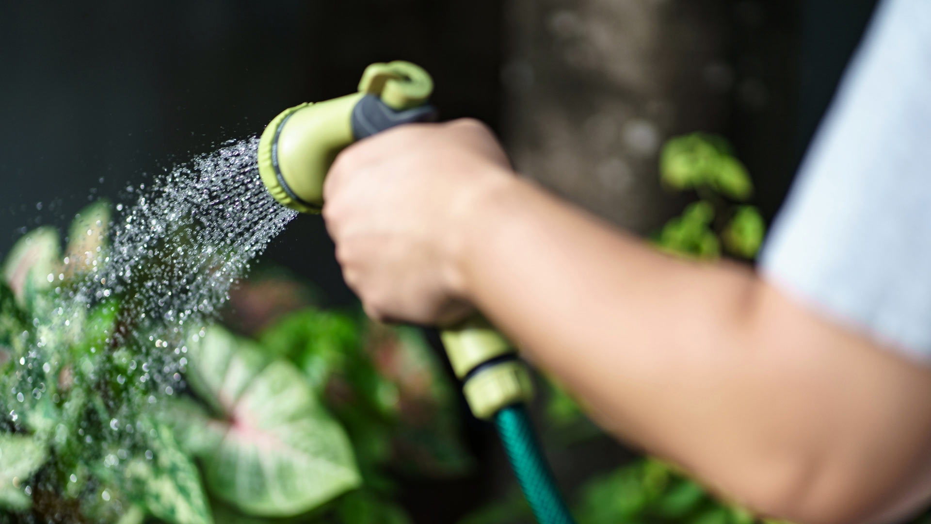 Unabhaengige-Gartenbewaesserung-dank-Zisterne-im-Garten