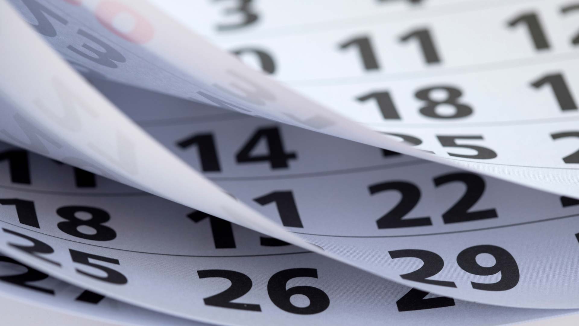 Richtige-Zeitpunkt-fuer-Heckenschnitt-im-Winter