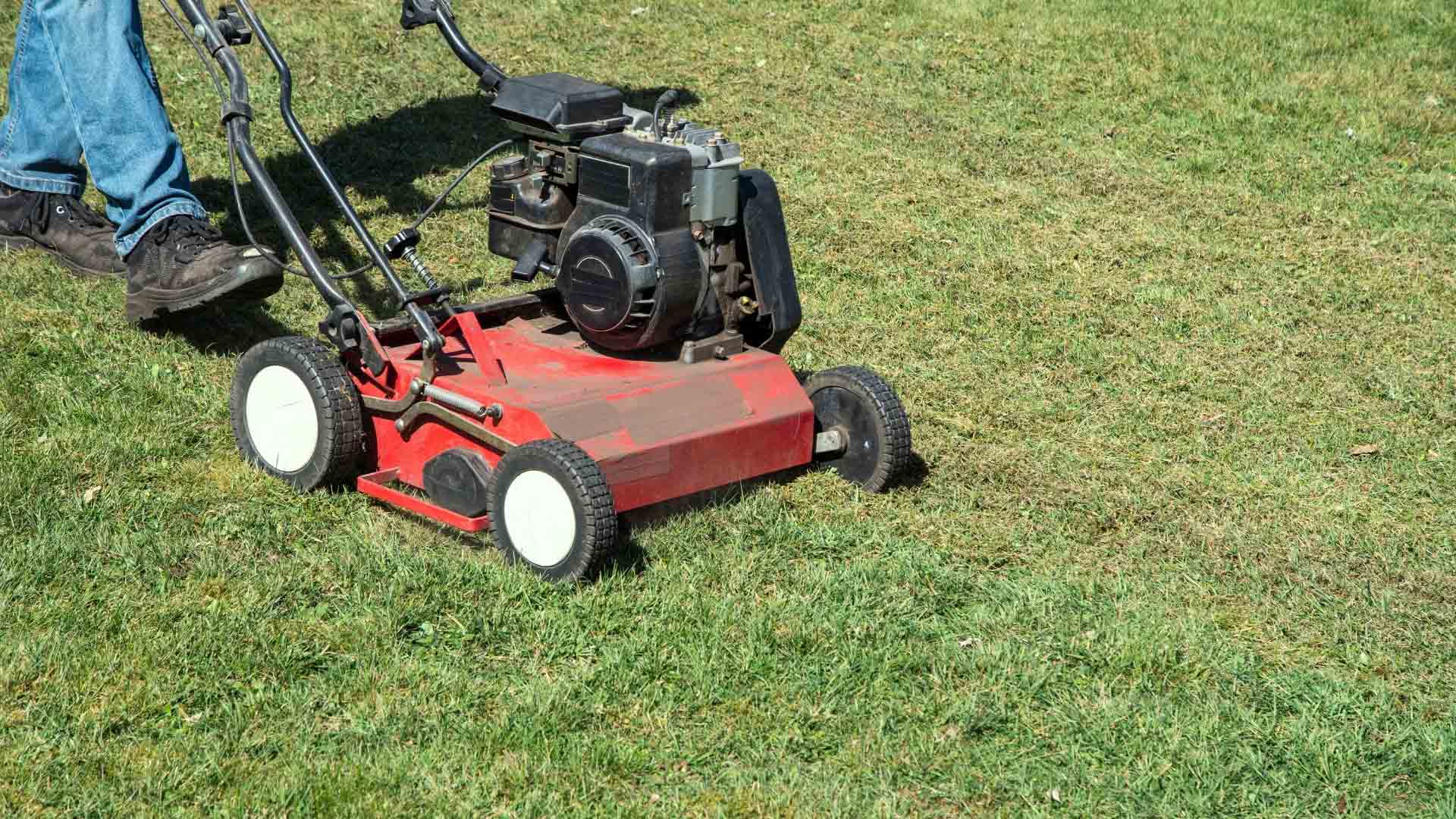 Rasen-im-Fruehjahr-vertikutieren