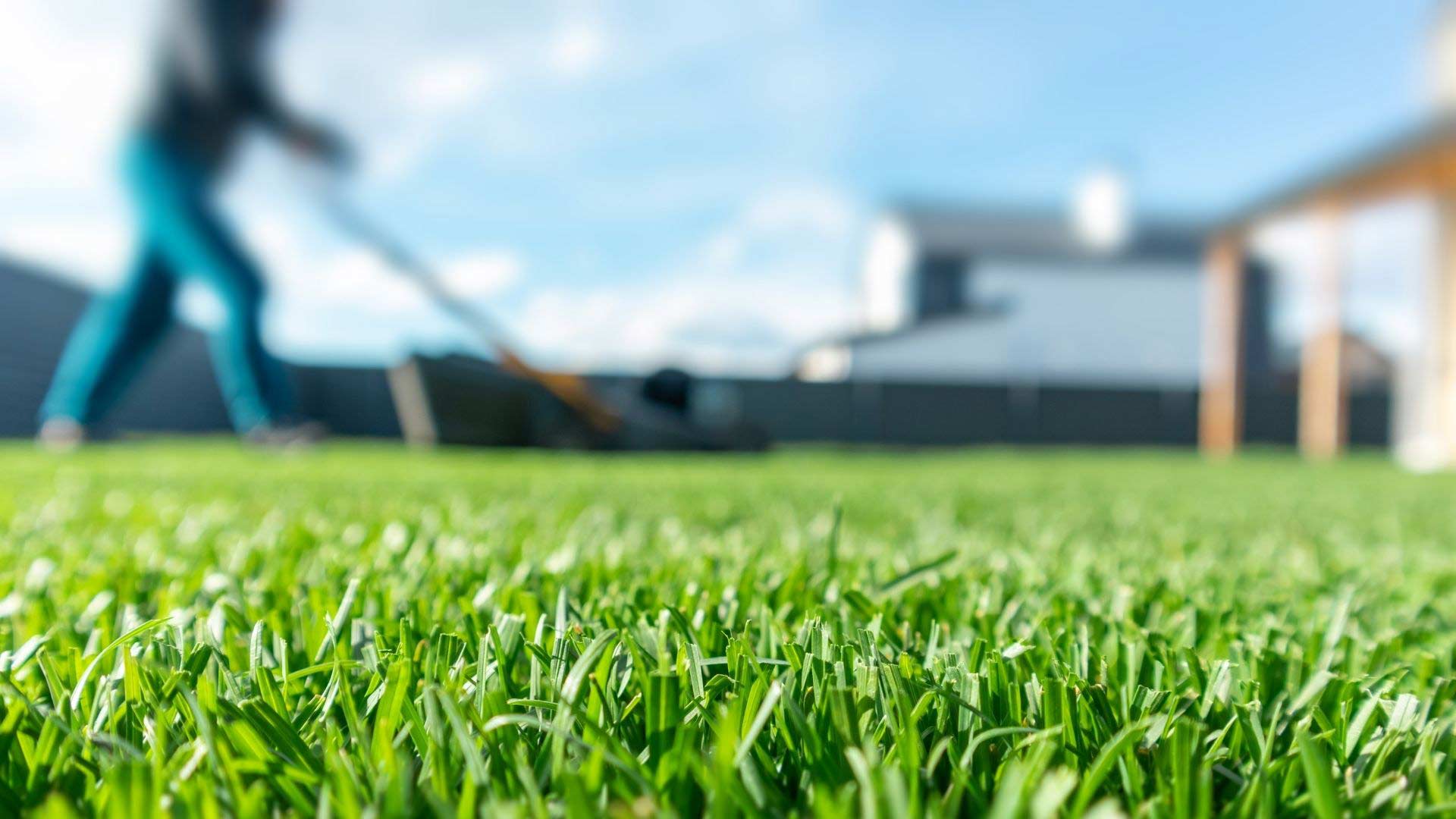 Rasenpflege-im-Fruehling