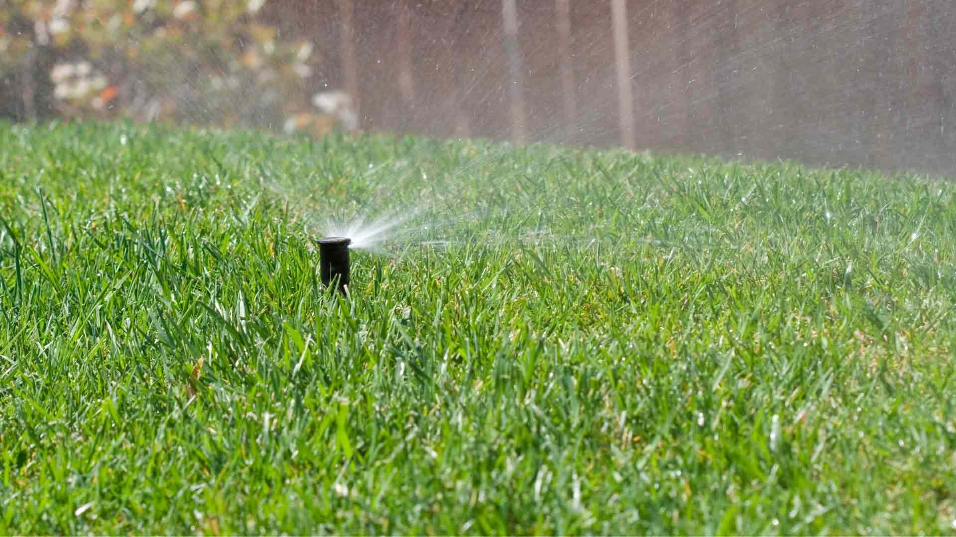 Automatisches-Bewaesserungssystem-fuer-den-Rasen