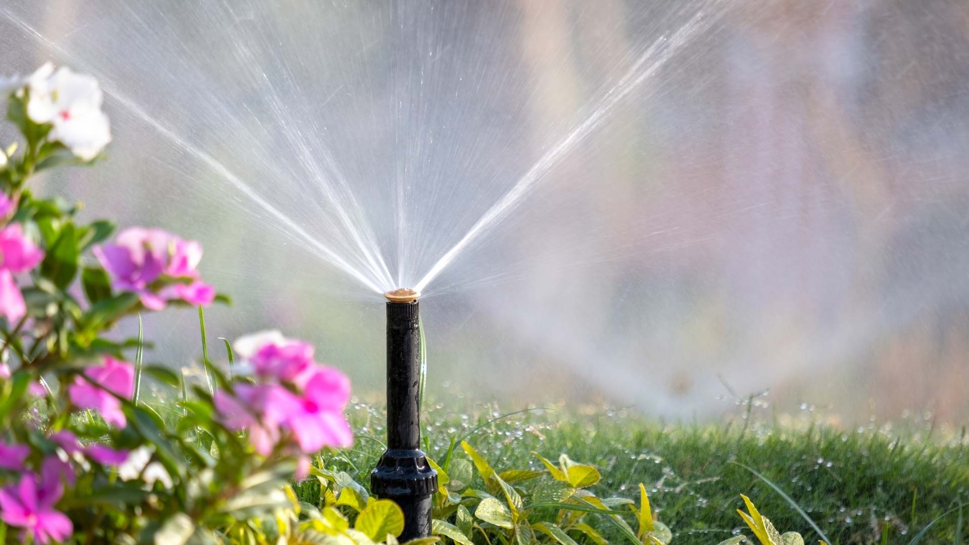 Automatische-Gartenbewaesserung-nachruesten