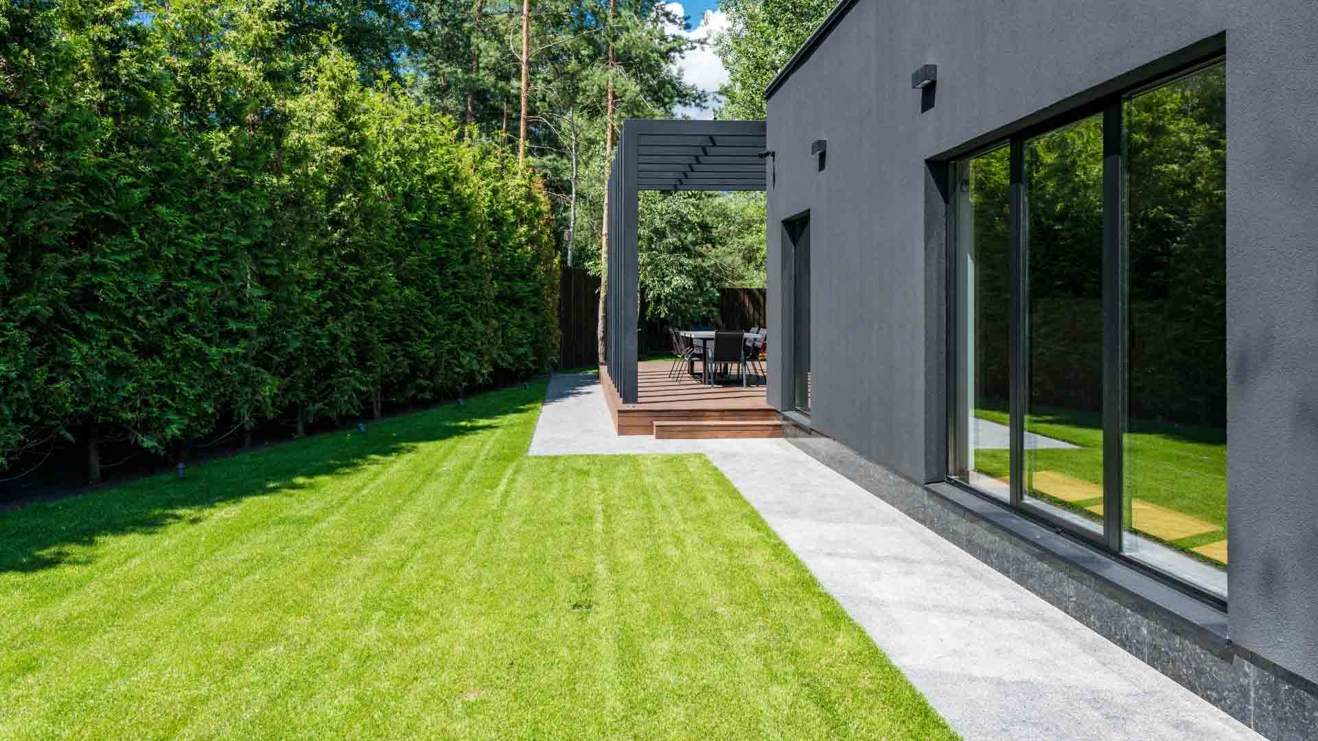 Hohe-Hecke-als-Sichtschutz